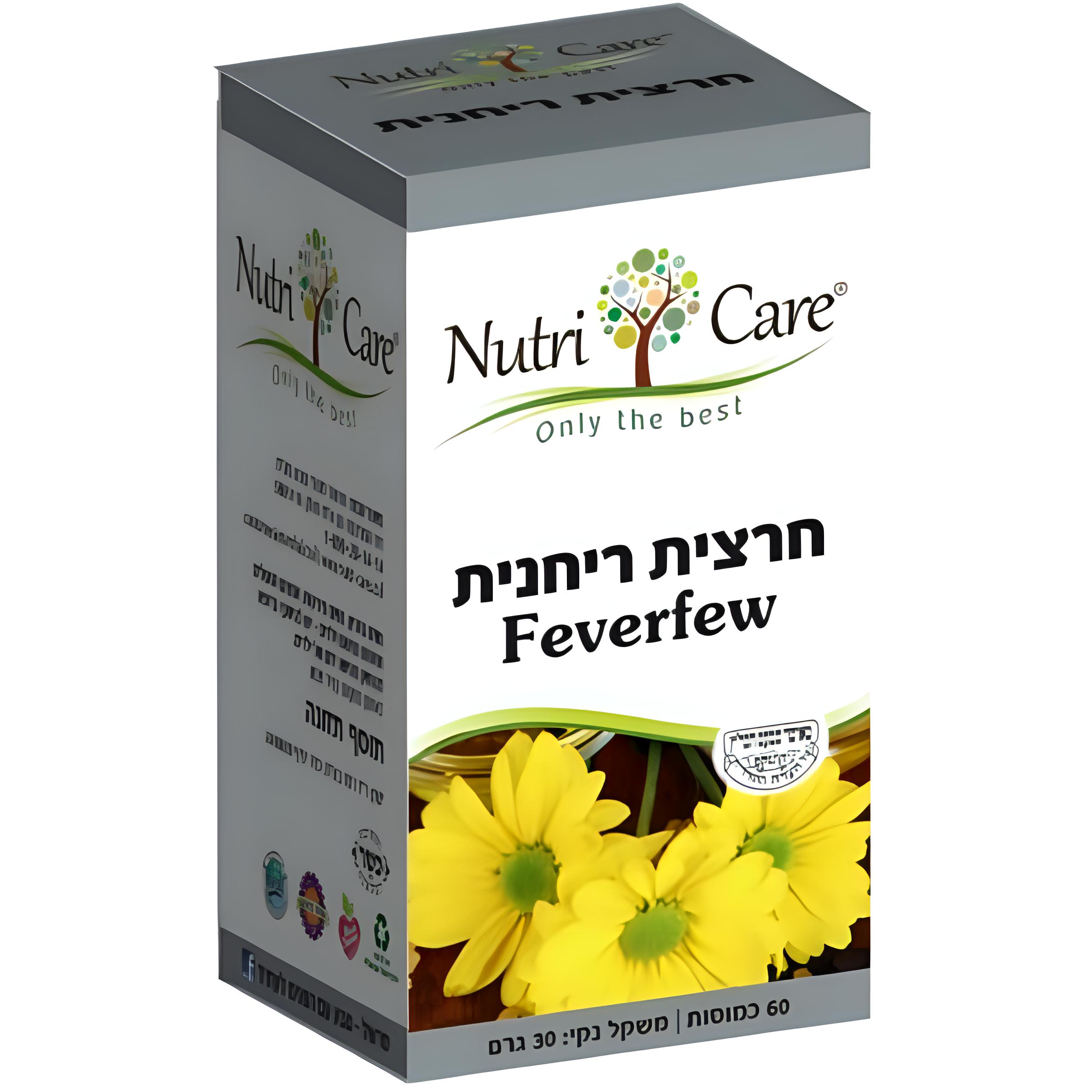 חרצית ריחנית