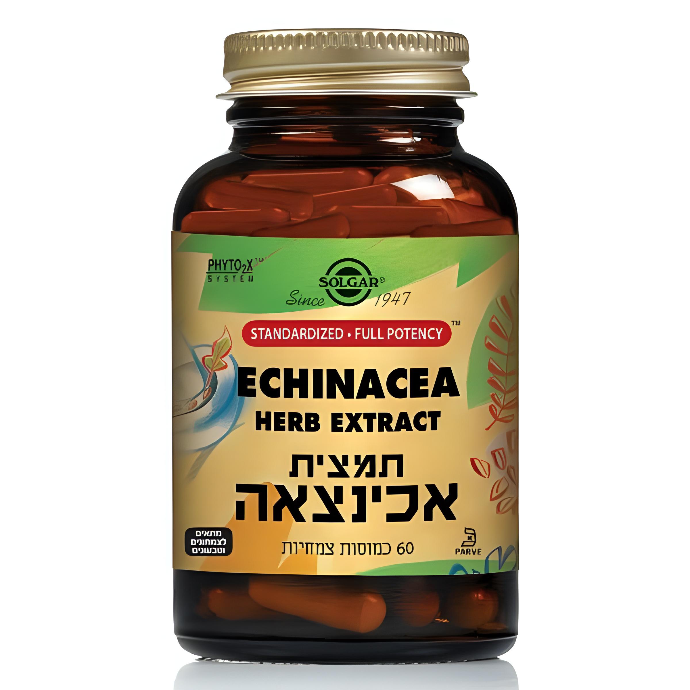 תמצית אכינצאה
